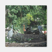 Orlando Florida Magnet (Voorkant)