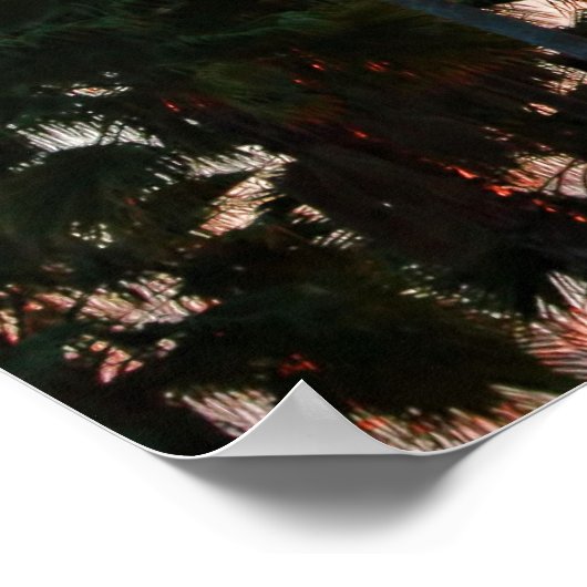 Orlando, Florida Pink Clouds & Palm Trees Poster (Hoek)