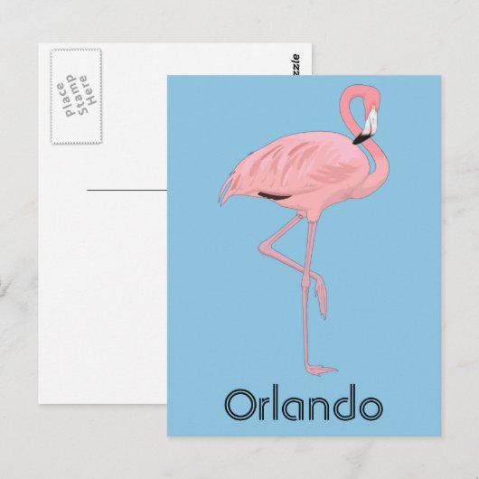 Orlando Florida Pink Flamingo Briefkaart (Voorkant / Achterkant)