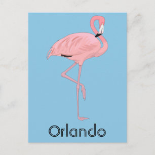 Orlando Florida Pink Flamingo Briefkaart