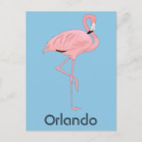 Orlando Florida Pink Flamingo