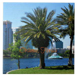 Orlando Florida stadsgezicht Tegeltje