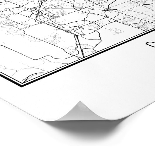 Orlando Florida Street Map Poster (Hoek)