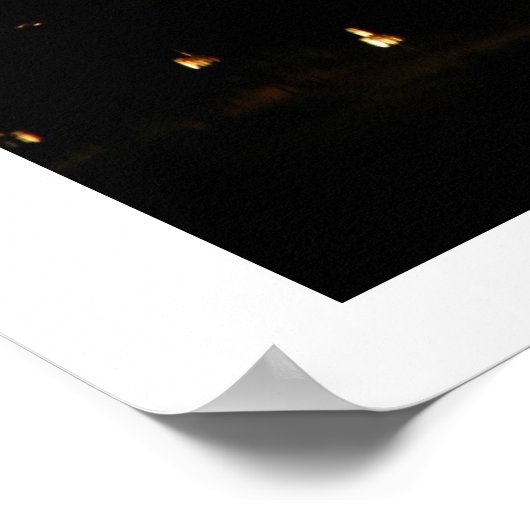 Orlando Night Poster (Hoek)