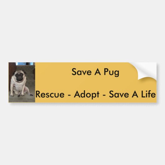 Orlando "Save A Pug"-Bumpersticker Bumpersticker (Voorkant)