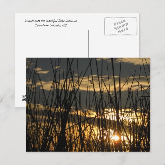 Orlando Sunset Briefkaart (Voorkant / Achterkant)