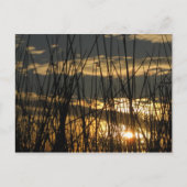 Orlando Sunset Briefkaart (Voorkant)