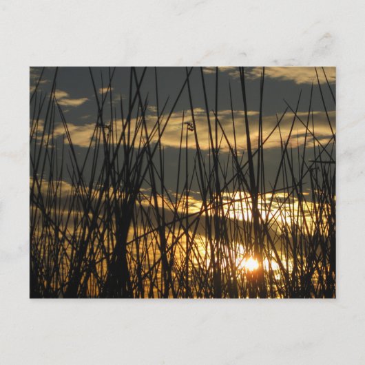 Orlando Sunset Briefkaart (Voorkant)