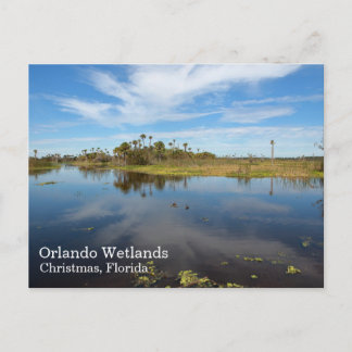 Orlando Wetlands Ansichtkaart, Kerstmis, Florida Briefkaart