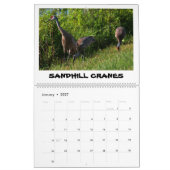 ORLANDO WETLANDS CALENDAR KALENDER (Jan 2027)