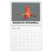ORLANDO WETLANDS CALENDAR KALENDER (Mar 2027)