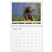 ORLANDO WETLANDS KALENDER (Feb 2027)