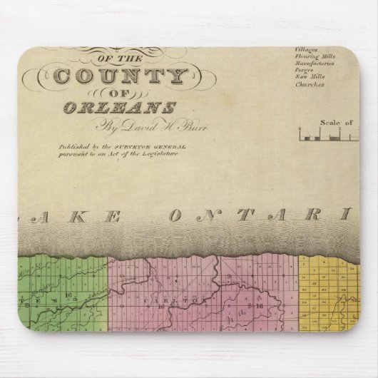 Orleans County Muismat (Voorkant)
