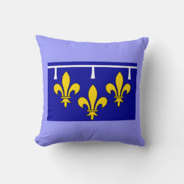 Orleans Frankrijk Vlag Worp Kussen