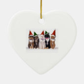 ornament (Achterkant)