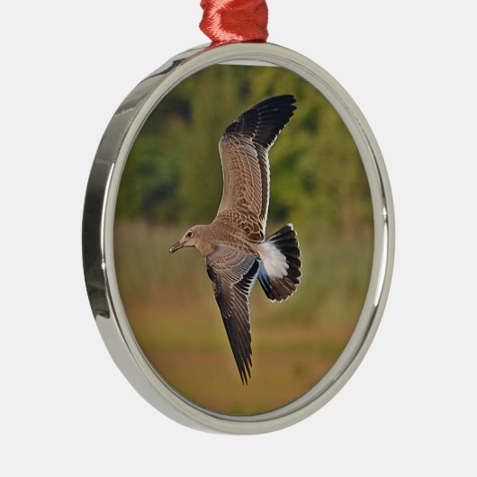 Ornament (Rechts)