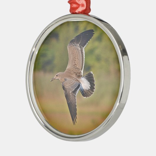 Ornament (Links)