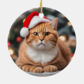 Ornament (Achterkant)