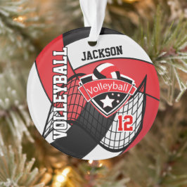 🏐 ❤ ORNAMENT