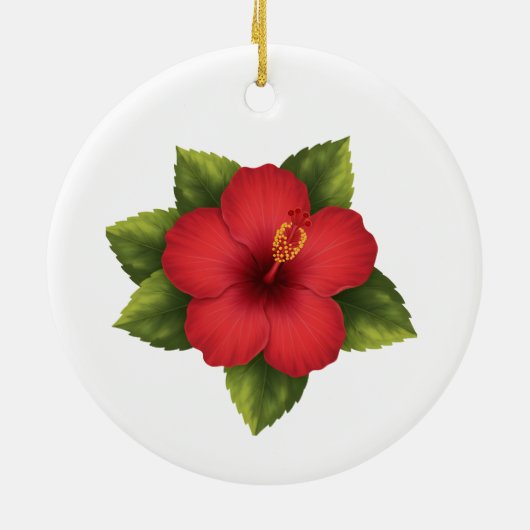Ornament (Achterkant)