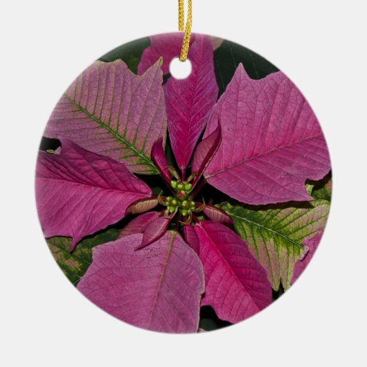 Ornament (Voorkant)