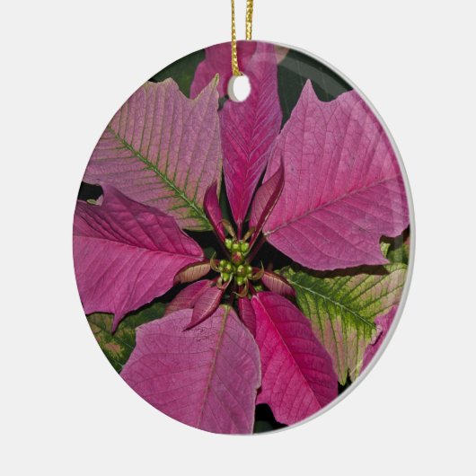 Ornament (Links)