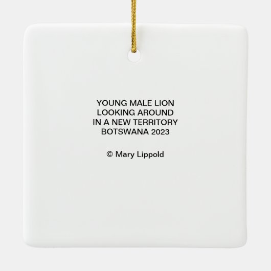 Ornament (Achterkant)