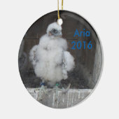 Ornament 2016 (Links)