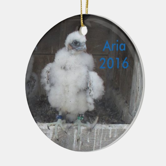 Ornament 2016 (Links)