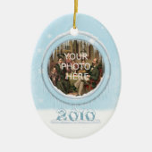 Ornament Afbeelding voor feestdagen Dolphins (Voorkant)