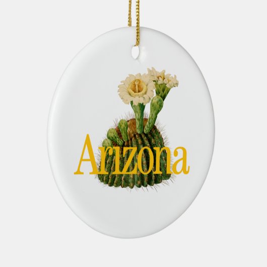 Ornament Arizona met Saguaro Cactus (Rechts)