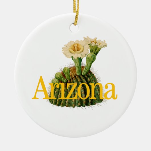  Ornament Arizona met Saguaro Cactus (Voorkant)