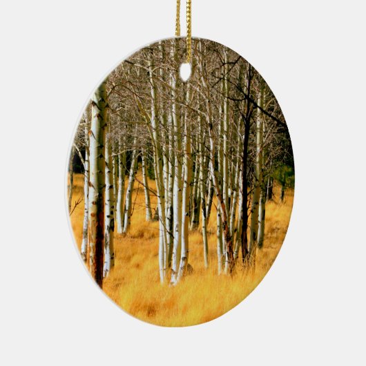 ornament aspen (Rechts)