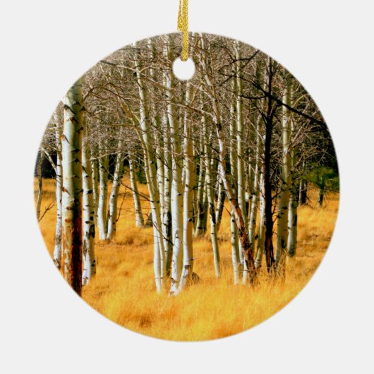 ornament aspen (Achterkant)