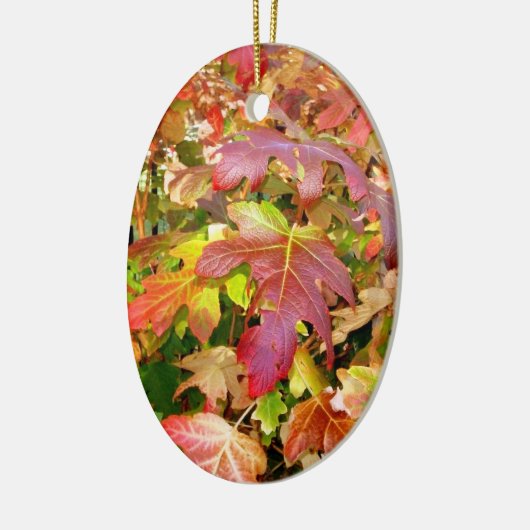 ornament 'Autumn Leaves' (Links)