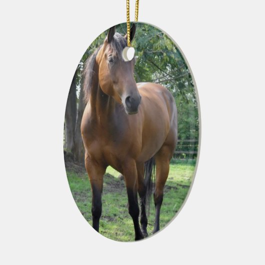 Ornament Bay Thoroughbred Horse (Links)