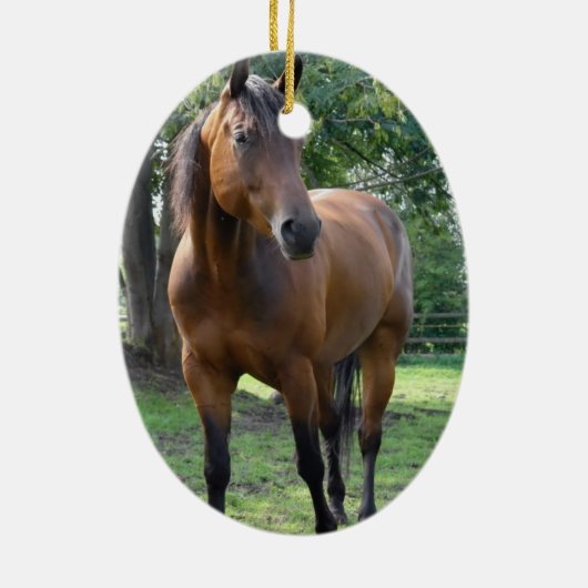 Ornament Bay Thoroughbred Horse (Achterkant)