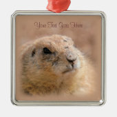 Ornament: Black-tailed Prairie Dog (Premium SQR) Metalen Ornament (Voorkant)
