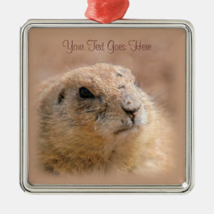 Ornament: Black-tailed Prairie Dog (Premium SQR) Metalen Ornament