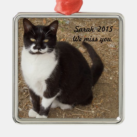 Ornament: Black Tuxedo Cat Sitting Metalen Ornament (Voorkant)