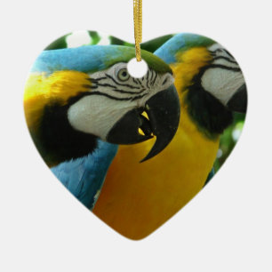 Ornament Blue and Gold Macaws