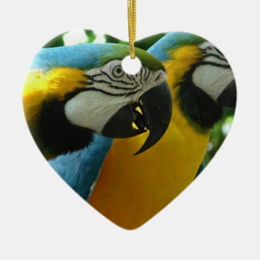 Ornament Blue and Gold Macaws (Voorkant)