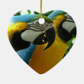 Ornament Blue and Gold Macaws (Achterkant)