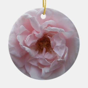 Ornament - Blush Pink Rose