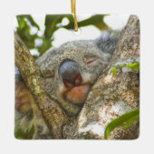 Ornament Ceramic Koala (Voorkant)