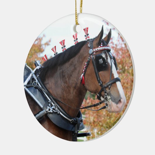 Ornament Clydesdal (Links)