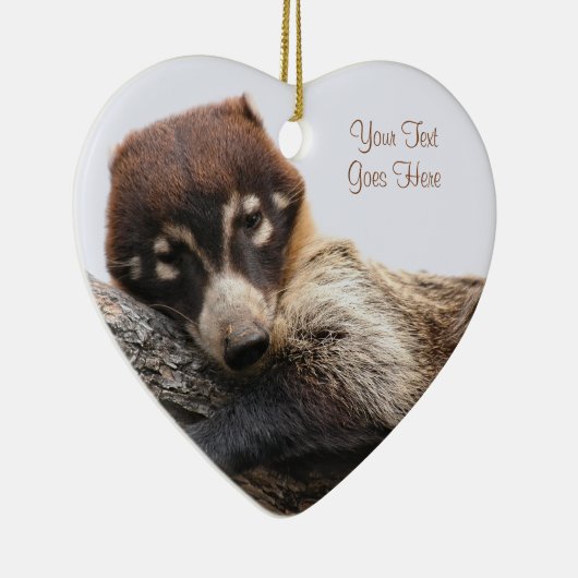 Ornament: Coatimundi #4 (hart) Keramisch Ornament (Rechts)