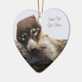 Ornament: Coatimundi #4 (hart) Keramisch Ornament (Links)