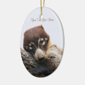 Ornament: Coatimundi #4 (Ovaal) Keramisch Ornament (Links)