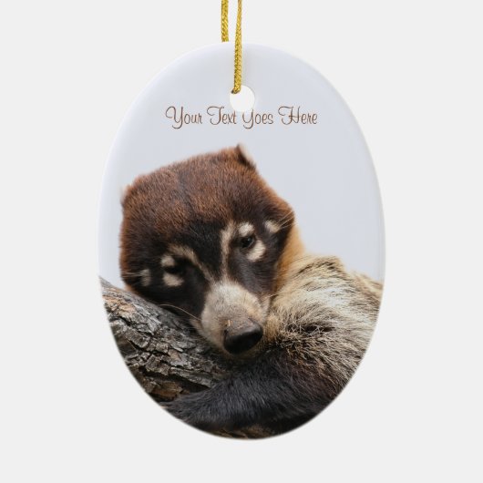 Ornament: Coatimundi #4 (Ovaal) Keramisch Ornament (Achterkant)